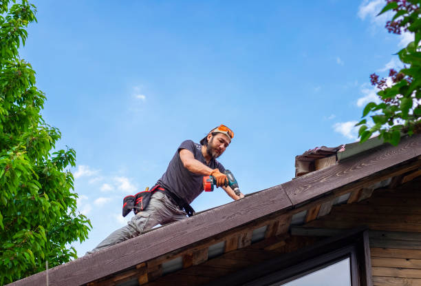 Best Roof Insulation Installation  in Oaklyn, NJ